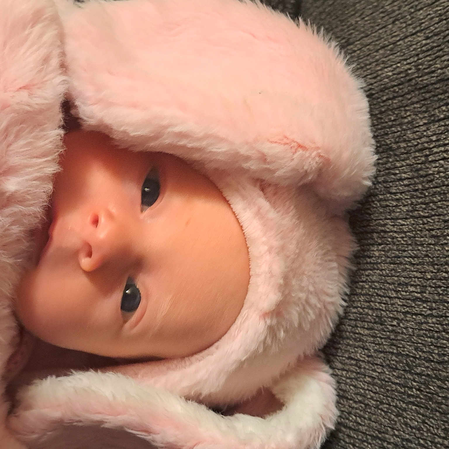 Ava is registered to the contest to win money with this photo: baby, cap, cheek, child, christmas, doll, eye, eyebrow, eyelash, facial_hair, fashion_accessory, fur, fur_clothing, hat, iris, lip, nose, textile, toy, winter