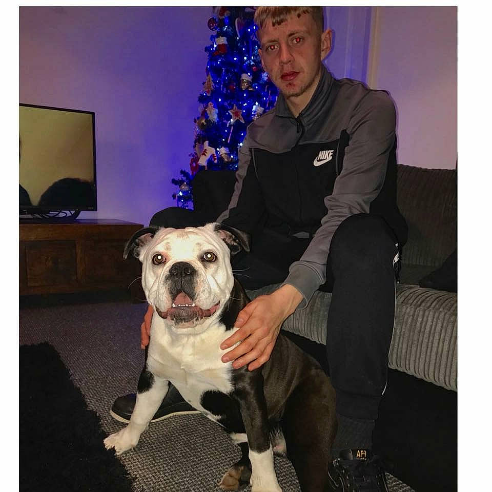 Nayla is registered to the contest to win money with this photo: american_bulldog, american_pit_bull_terrier, boston_terrier, bulldog, carnivoran, dog, dog_breed, dog_breed_group, dog_like_mammal, headwear, non_sporting_group, old_english_bulldog, olde_english_bulldogge, person, snout, vertebrate