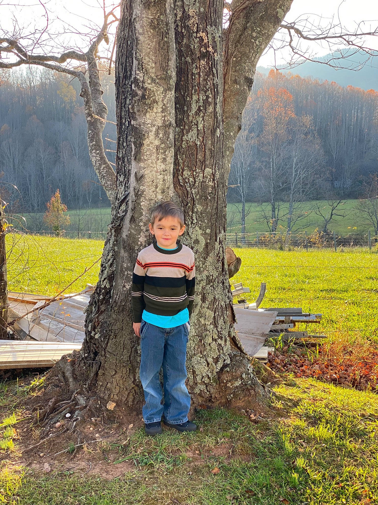 Kacen is registered to the contest to win money with this photo: deciduous, denim, forest, grass, grassland, happy, joy, landscape, natural_landscape, people_in_nature, person, plant, recreation, sky, standing, tints_and_shades, toddler, tree, trunk, twig
