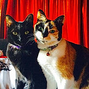Nora And Kyrah joined the competition — help win amazing prizes!