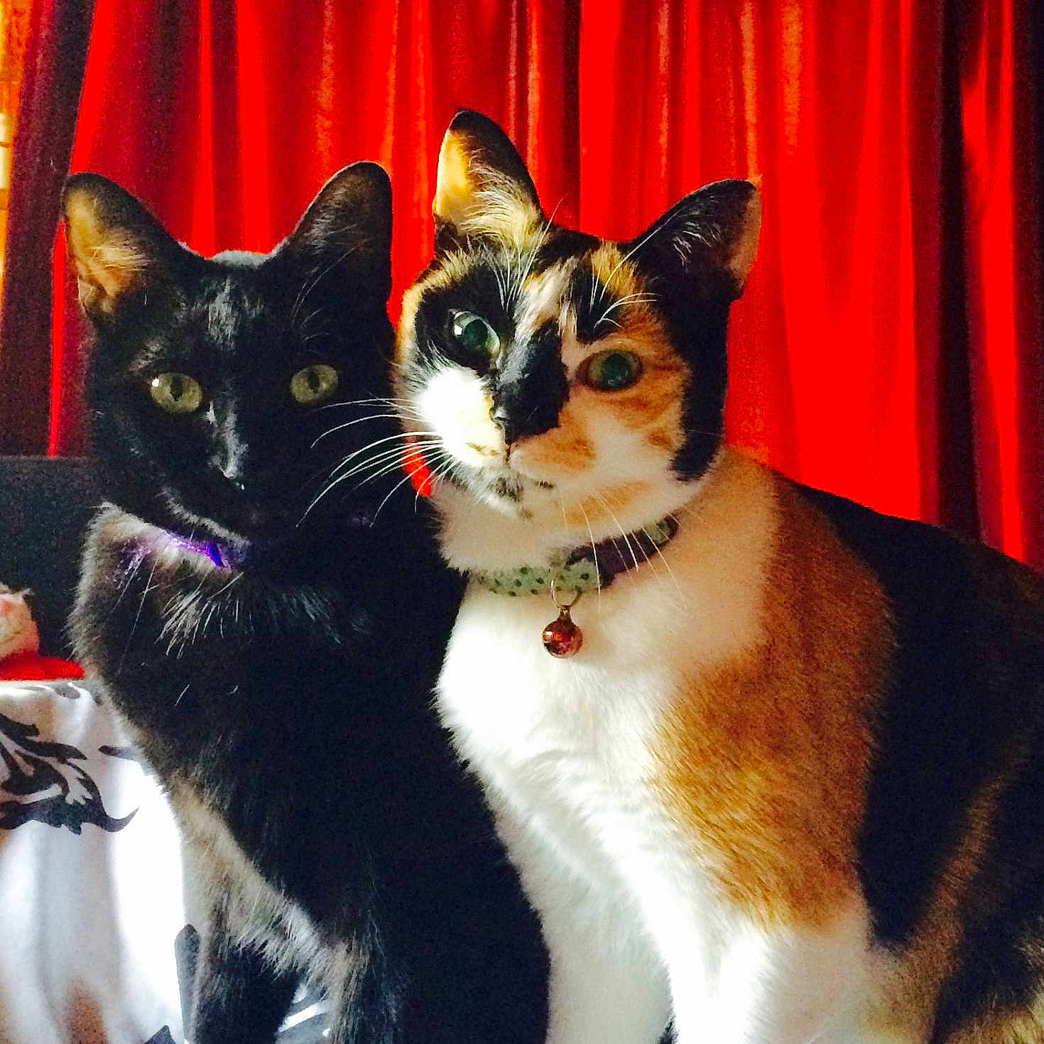 Nora And Kyrah