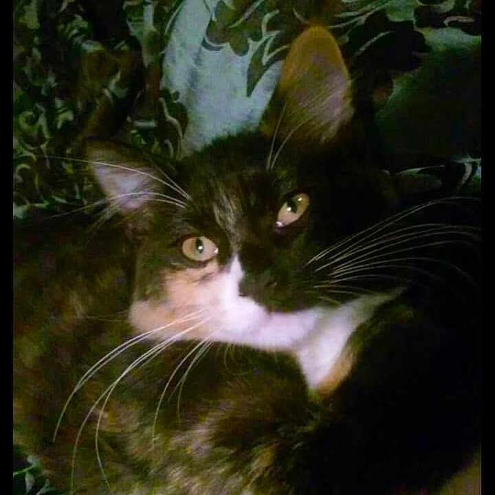 Fiona