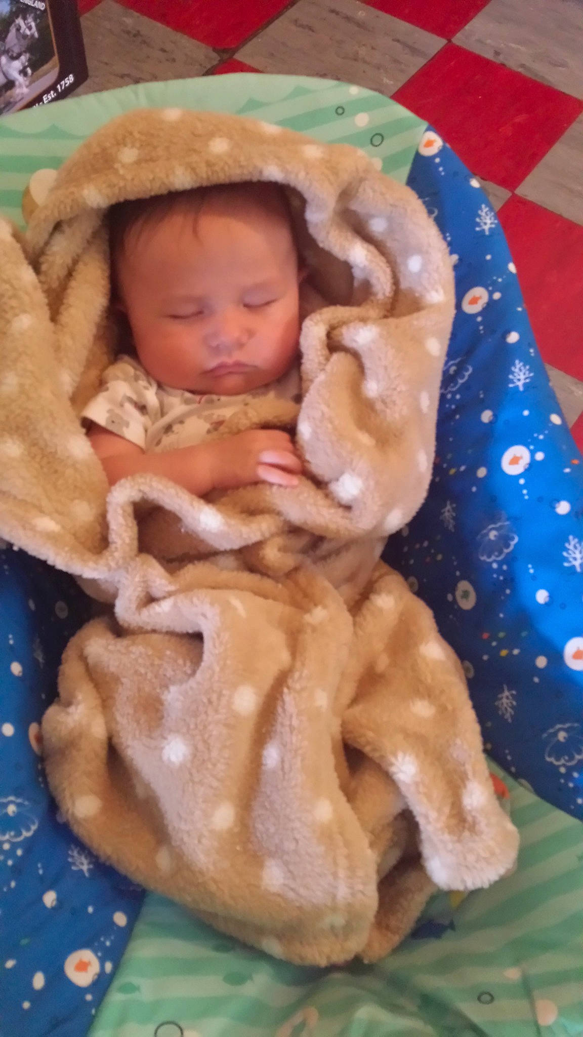 Buck joined the competition — help win amazing prizes! baby, child, fur, person