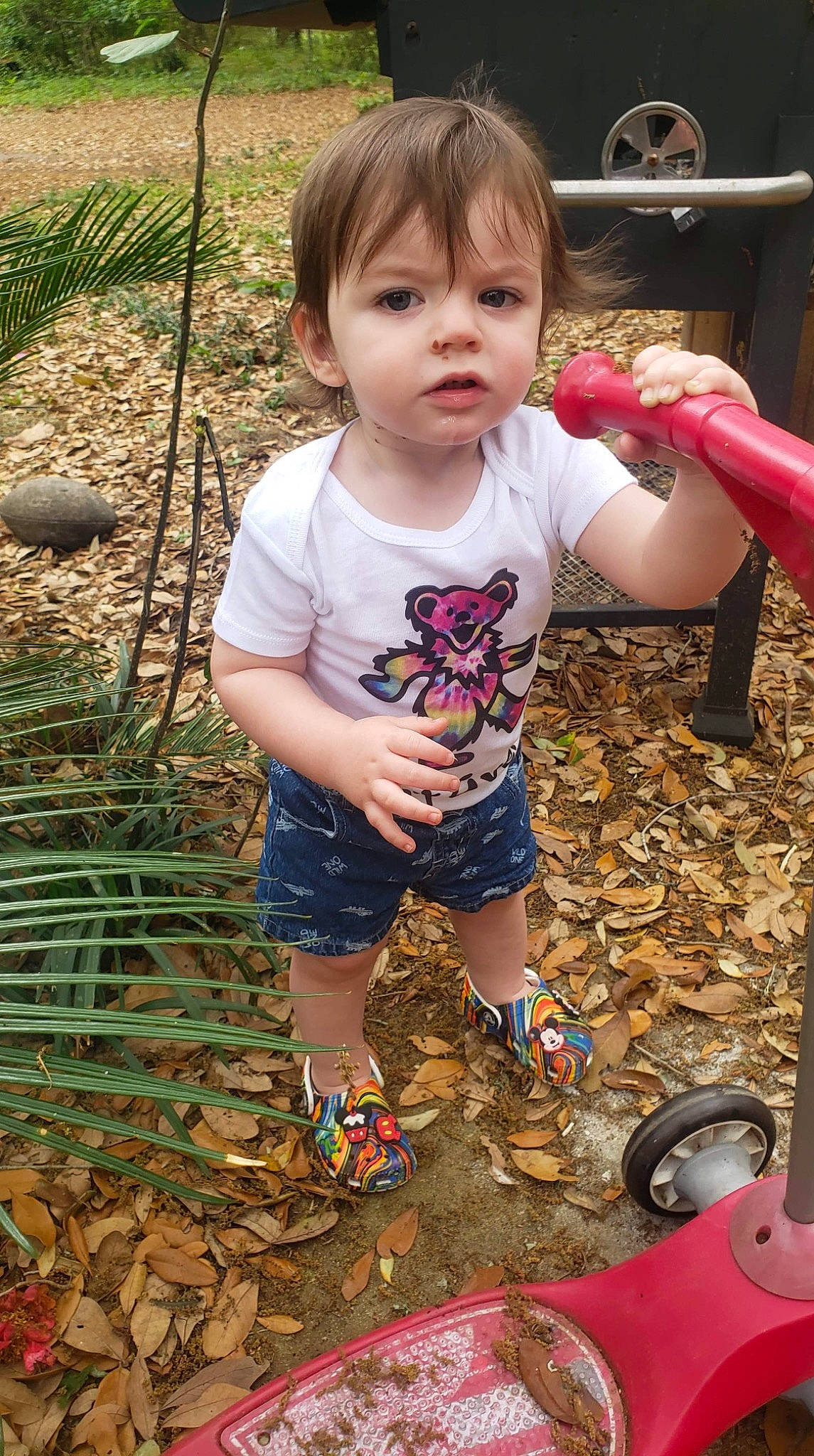 Jet is registered to the contest to win money with this photo: arm, baby, baby_toddler_clothing, beauty, child, fun, grass, hand, happy, leisure, people_in_nature, person, photograph, plant, public_space, sandal, shoe, skin, sneakers, summer