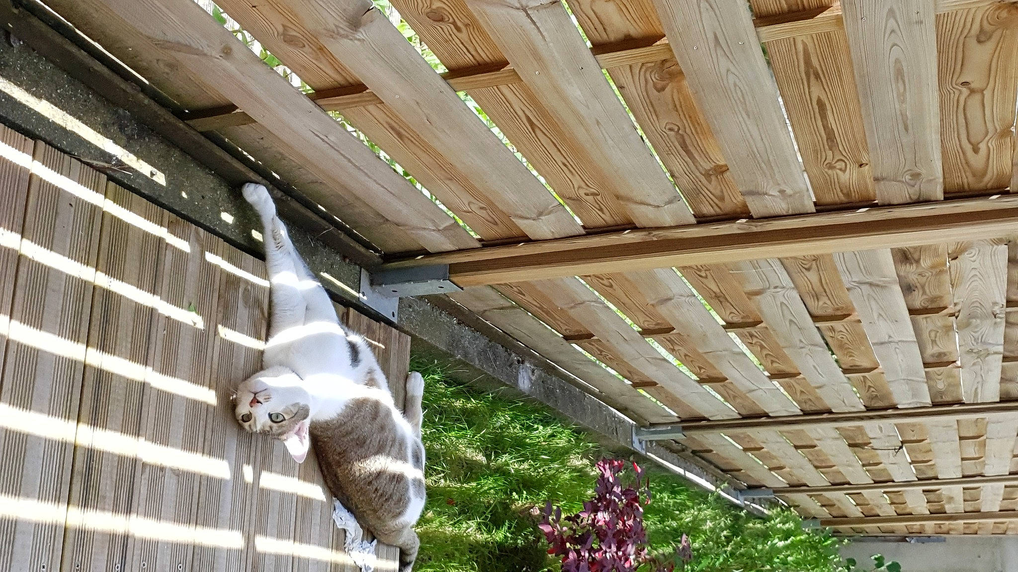 Osiris a rejoint le concours — aidez-le/la à gagner de superbes lots ! aerospace_engineering, aircraft, aviation, beam, ceiling, daylighting, event, leisure, metal, roof, shade, tail, tourist_attraction, wing, wood