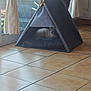 Happy a rejoint le concours — aidez-le/la à gagner de superbes lots ! cat, pet_house, indoor, tile_floor, curtains, window, cushion, furniture, resting, grey, tent, blur, cozy, daylight, home, animal, relaxing, quiet, small, domestic