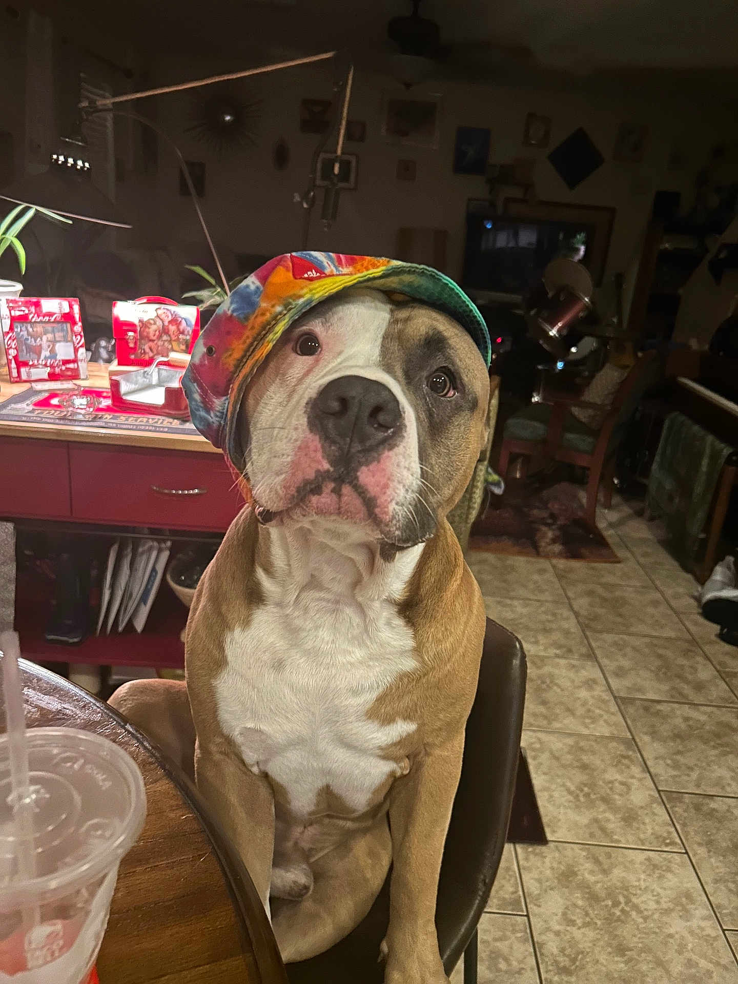 Floyd