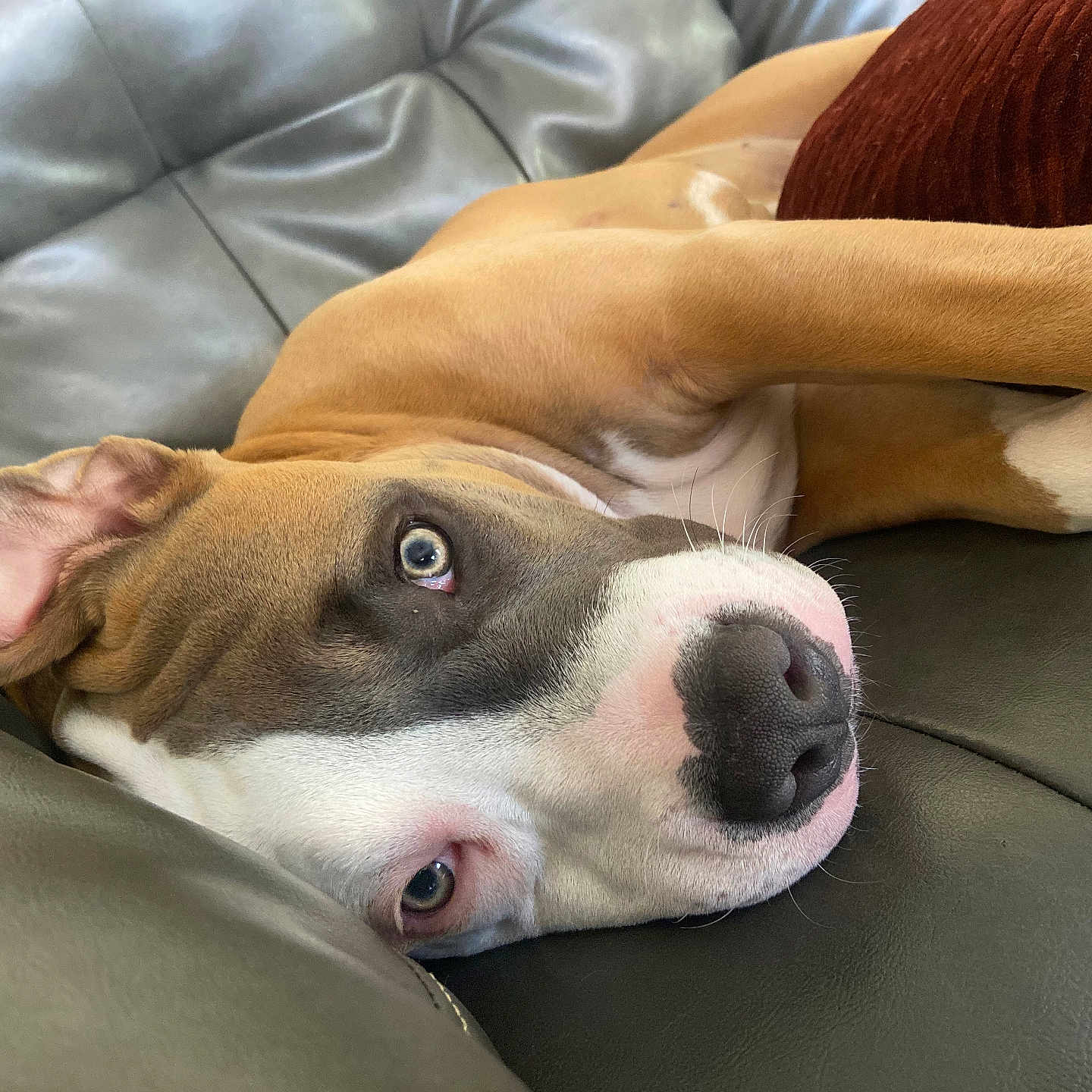 Floyd