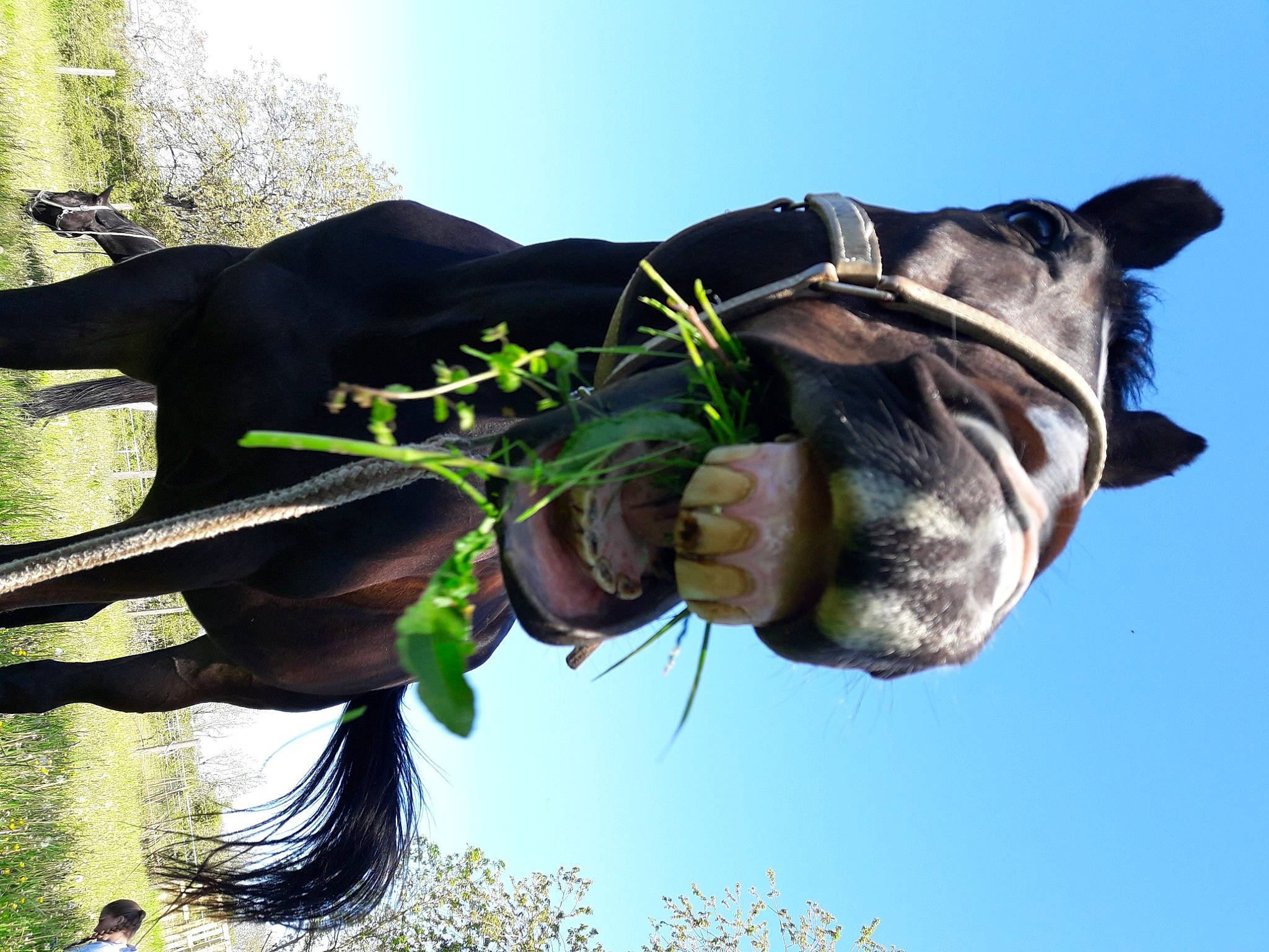 Cado participe au concours pour gagner de l'argent avec cette photo : plant, tree