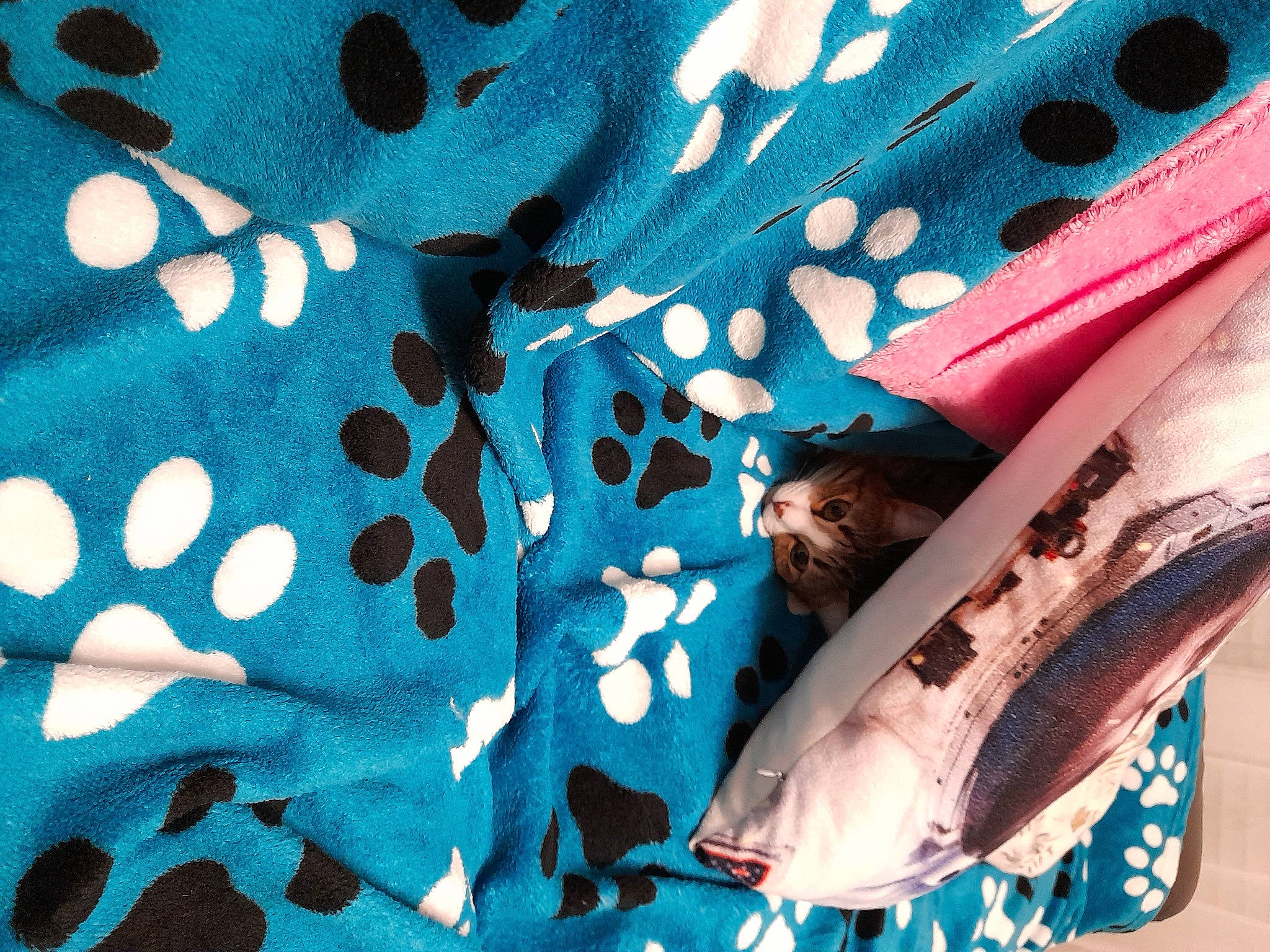 Nova a rejoint le concours — aidez-le/la à gagner de superbes lots ! aqua, azure, bag, blue, board_short, carmine, circle, electric_blue, fashion_accessory, linens, pattern, peach, pillow, product, sleeve, sportswear, t_shirt, textile, vertebrate, visual_arts