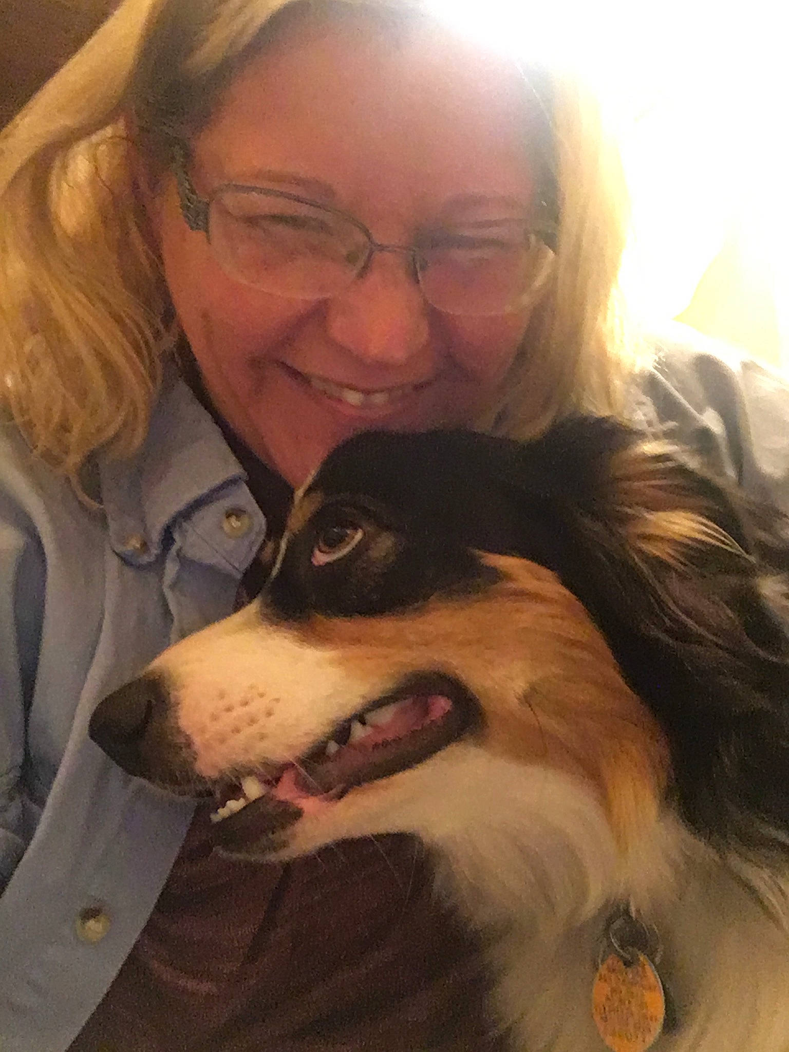 Zena is registered to the contest to win money with this photo: australian_shepherd, canidae, carnivore, collie, companion_dog, dog, dog_breed, jaw, nose, puppy_love, rough_collie, scotch_collie, selfie, shetland_sheepdog, snout