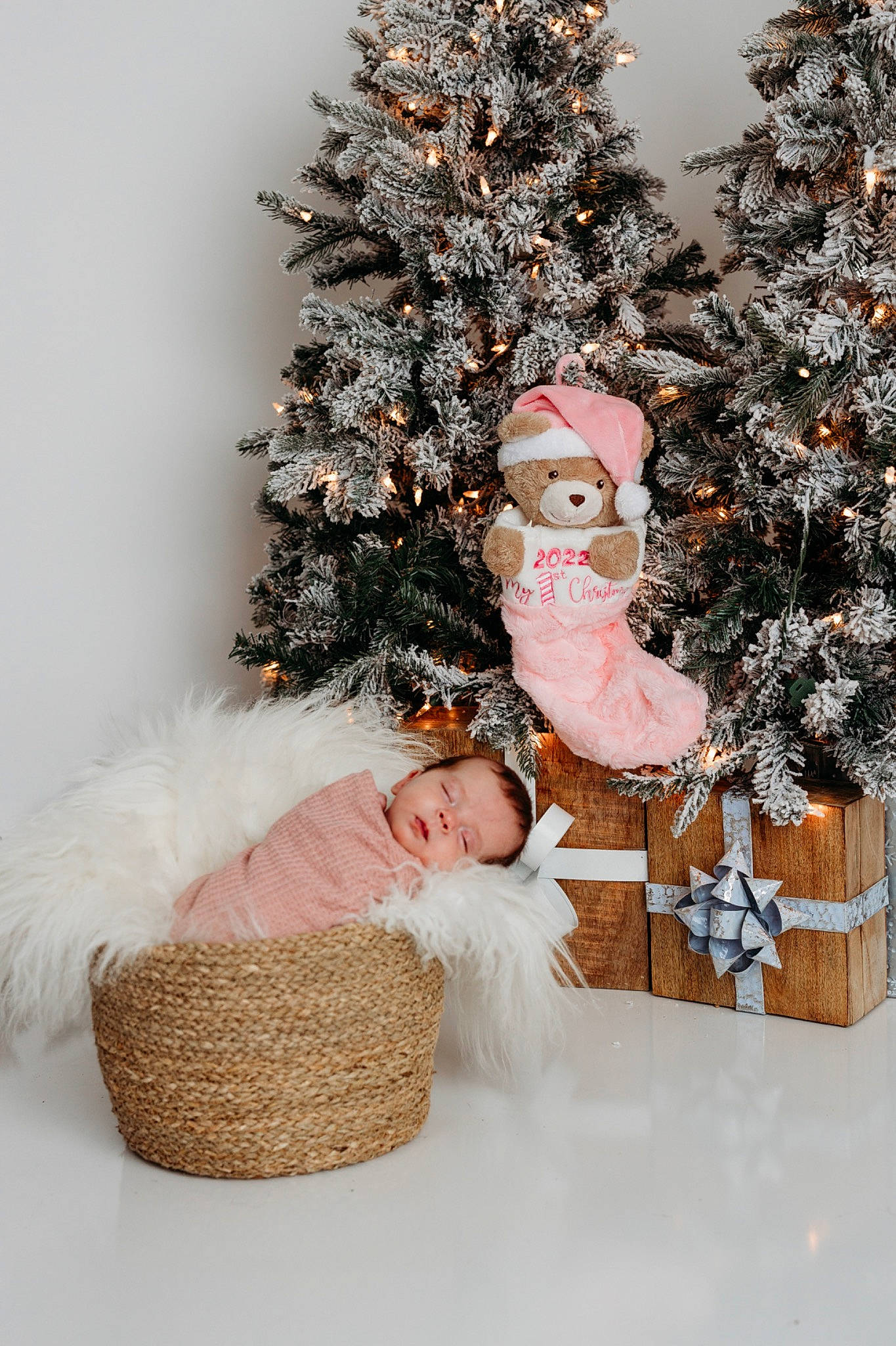 Kimber joined the competition — help win amazing prizes! christmas, christmas_decoration, christmas_eve, christmas_ornament, christmas_tree, conifer, event, evergreen, hat, head, holiday, holiday_ornament, interior_design, ornament, person, plant, toy, tree, twig, winter