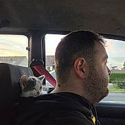 Turbo participe au concours pour gagner de l'argent avec cette photo : man, kitten, cat, car_interior, window, seatbelt, sunset, side_profile, driving, pet, animal, human, clothing, hoodie, road, nature_outside, relaxation, companionship, transportation, casual