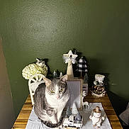 Morty joined the competition — help win amazing prizes! animal, cat, christmas, decorations, festive, flowers, gray_cat, green_wall, holiday, home_decor, indoor, miniature_trees, pet, portrait, sitting, snowman, table, toy_truck, white_cat, wooden_table