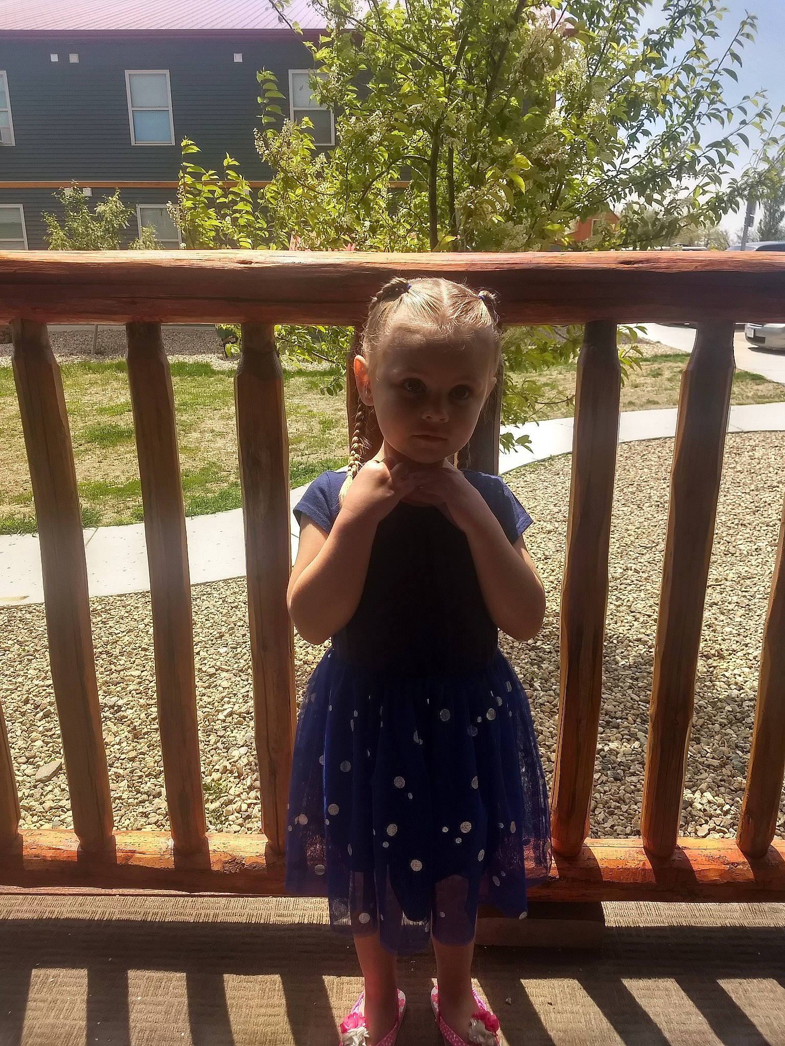 Jorja joined the competition — help win amazing prizes! blond, child, deck, design, dress, fence, grass, handrail, home, leaf, pattern, person, plant, smile, standing, summer, sunlight, toddler, tree, vacation