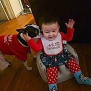 Amber joined the competition — help win amazing prizes! baby, dog, christmas, holiday, infant, festive_clothing, baby_seat, floor, indoor, pet, licking, red_shirt, polka_dot, socks, bib, curly_hair, smiling, wooden_floor, cute, happy