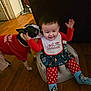 baby, baby_seat, bib, christmas, curly_hair, cute, dog, festive_clothing, floor, happy, holiday, indoor, infant, licking, pet, polka_dot, red_shirt, smiling, socks, wooden_floor