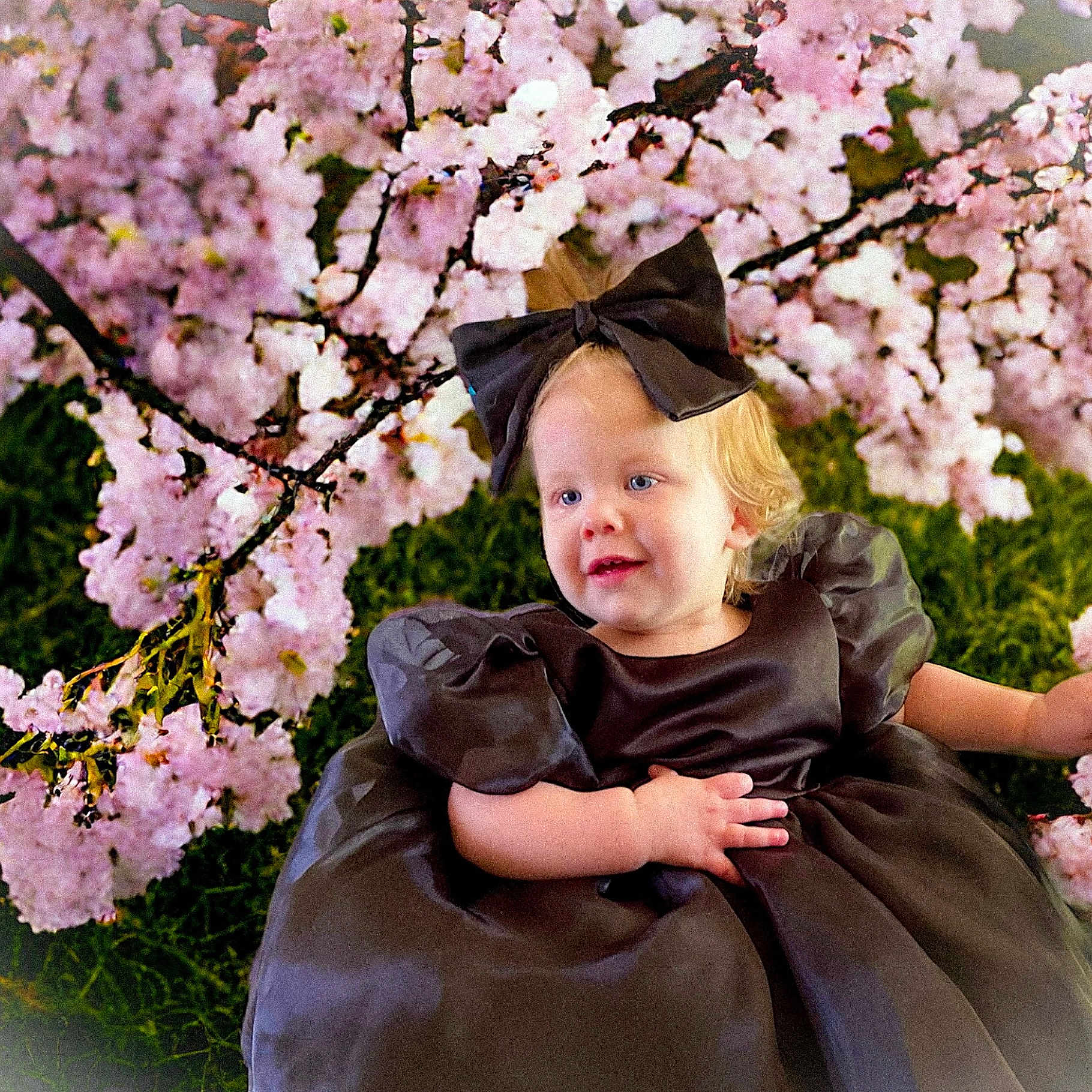 Lovelynn joined the competition — help win amazing prizes! anemone, child, clothing, dress, face, fashion, female, flower, flowerarrangement, girl, grass, head, people, person, petal, photography, plant, portrait, purple, tree