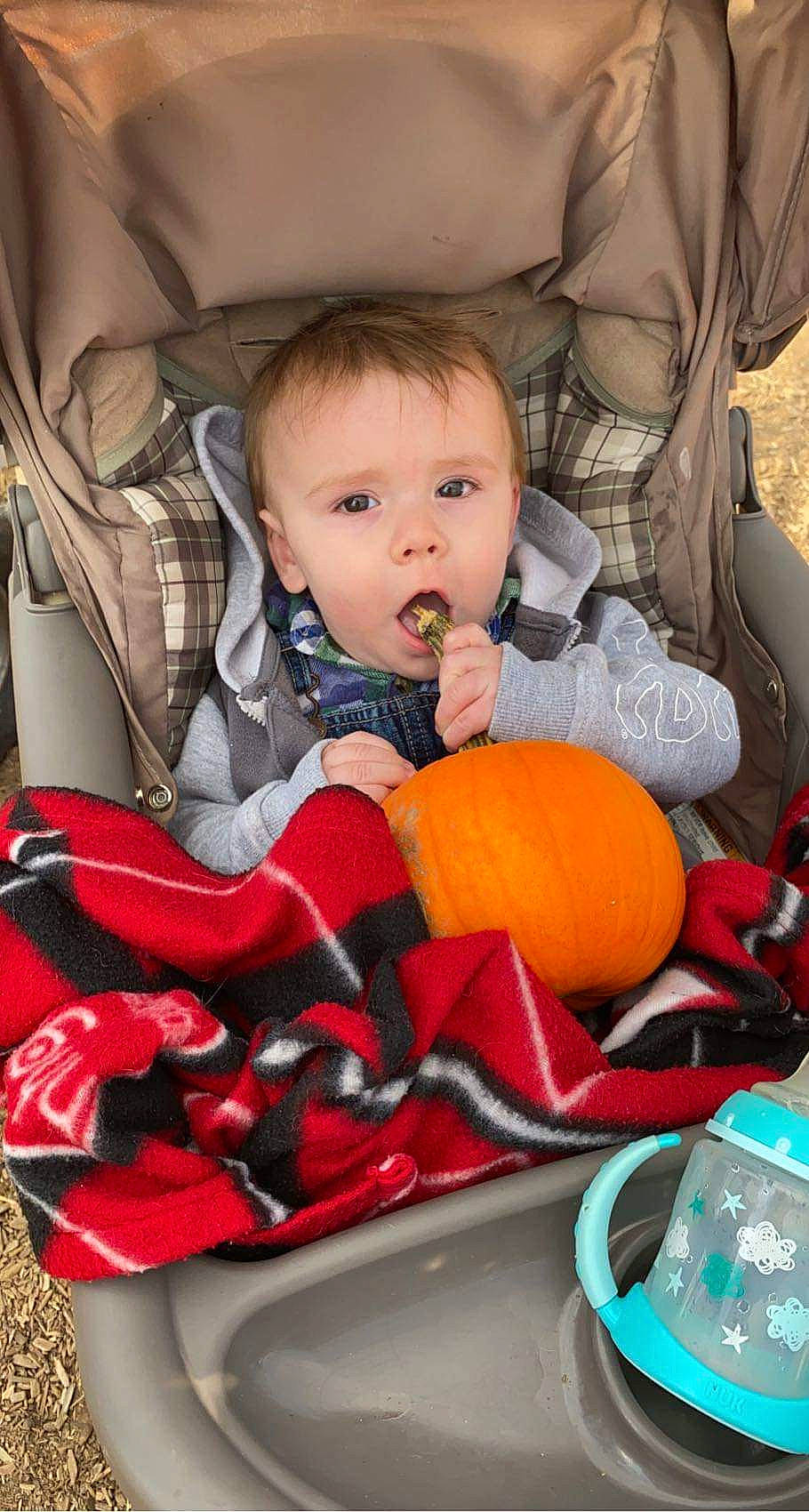 Raylan is registered to the contest to win money with this photo: baby, baby_carriage, baby_products, baby_toddler_clothing, car_seat, carmine, cheek, child, comfort, fun, happy, iris, lap, lip, mouth, orange, person, sitting, surprise, toddler