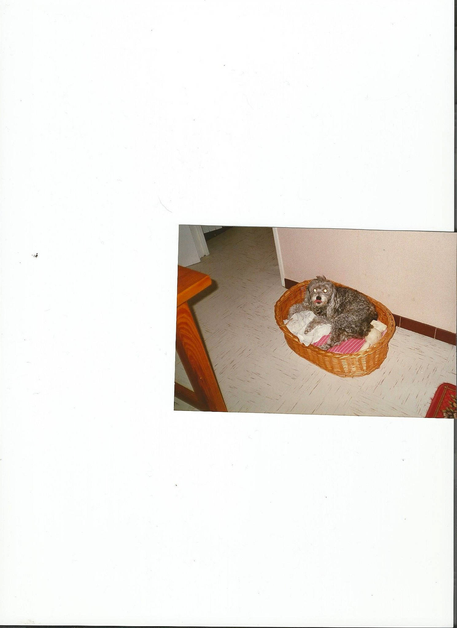 Sweetie participe au concours pour gagner de l'argent avec cette photo : cuisine, dish, food, still_life_photography