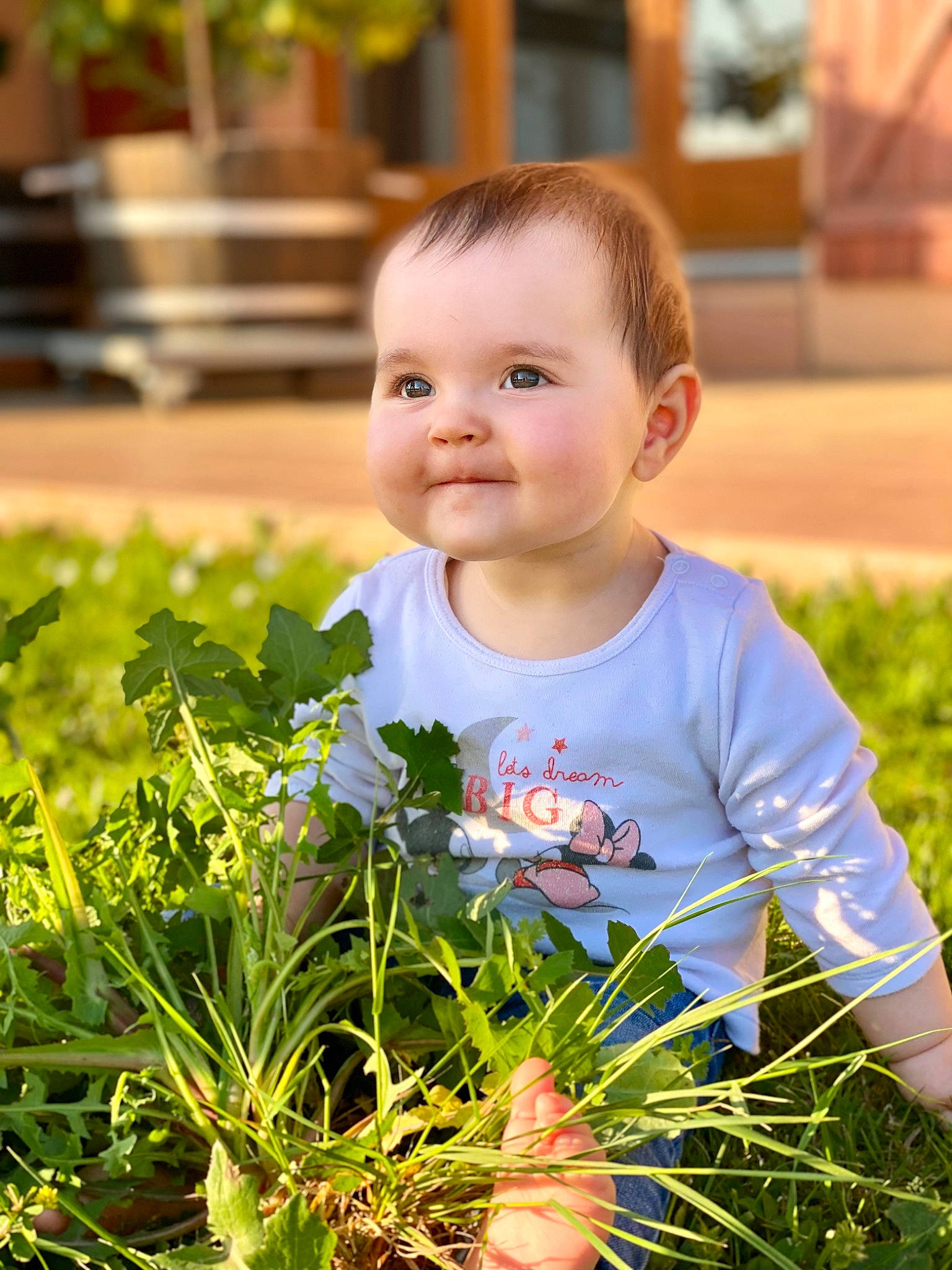Saori participe au concours pour gagner de l'argent avec cette photo : baby, baby_toddler_clothing, botany, child, eye, grass, grass_family, green, happy, iris, joy, leaf, leaf_vegetable, people_in_nature, person, photograph, plant, smile, summer, t_shirt