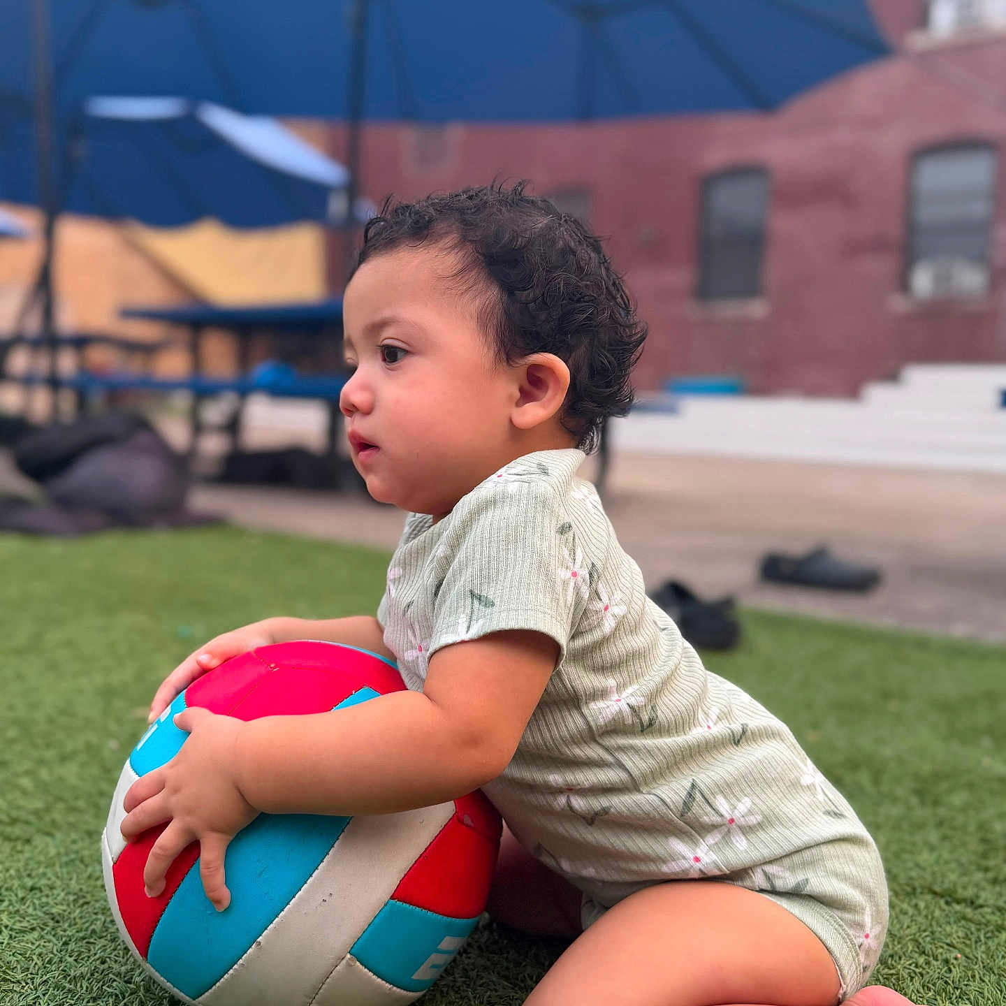 Enma joined the competition — help win amazing prizes! toddler, child, volleyball, grass, outdoor, kneeling, curly_hair, urban, umbrella, building, play, sport, summer, daylight, green, toy, casual_clothing, side_view, cute, young