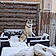 Tawa