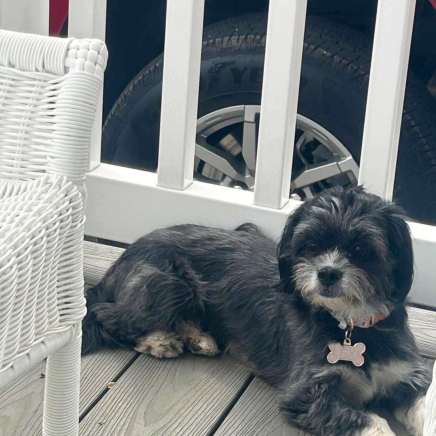 Lexi