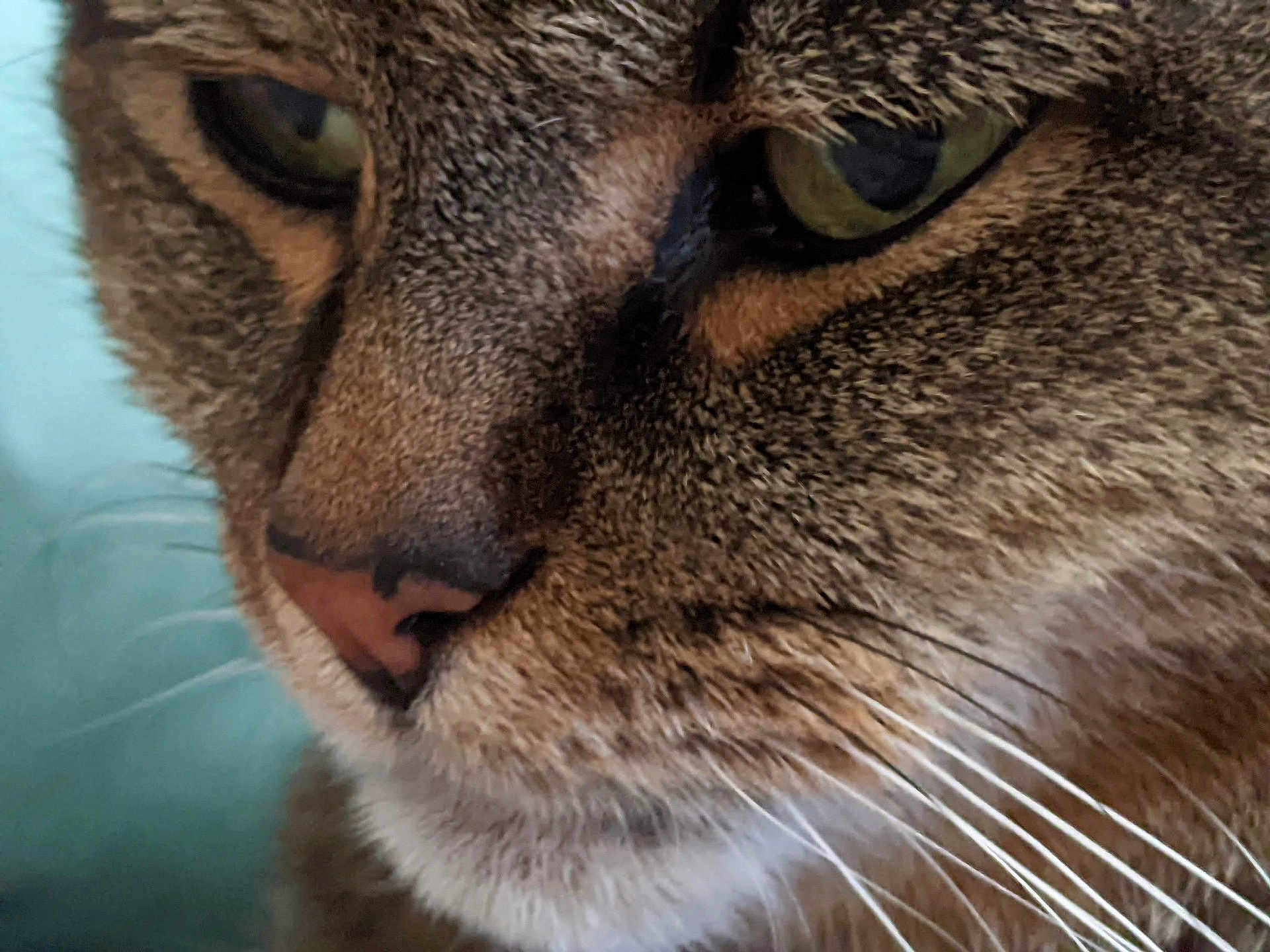 Chloe
