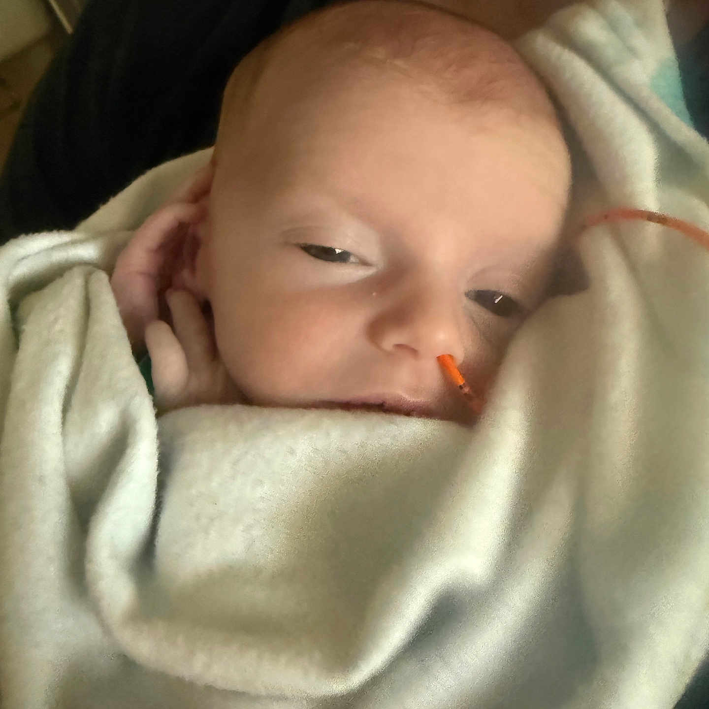 Ryann is registered to the contest to win money with this photo: baby, blanket, closeup, comfort, cuddle, face, hand, healthcare, human, indoors, infant, newborn, person, portrait, rest, skin, sleepy, soft, tubing, warm