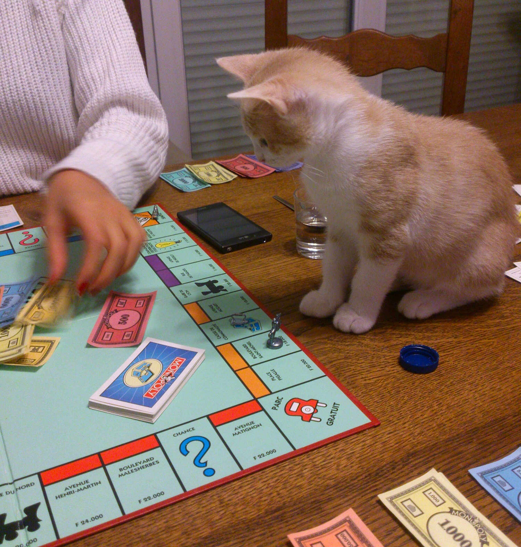 Marley a rejoint le concours — aidez-le/la à gagner de superbes lots ! cat, monopoly, board_game, game_piece, money, hand, table, smartphone, wooden_table, chair, indoor, person, playing, curious_cat, orange_cat, white_cat, glass, bottle_cap, game_card, furniture