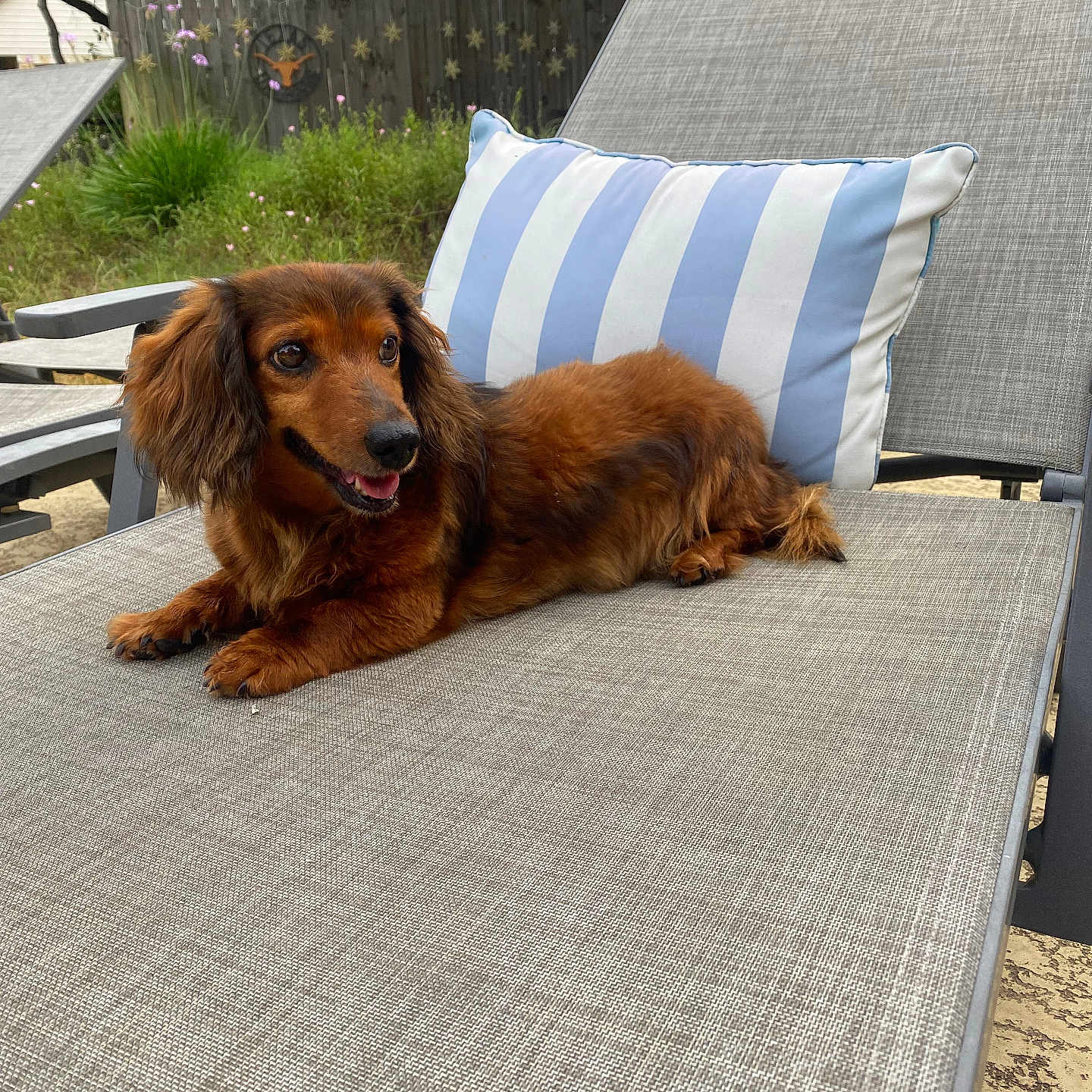 Pickle