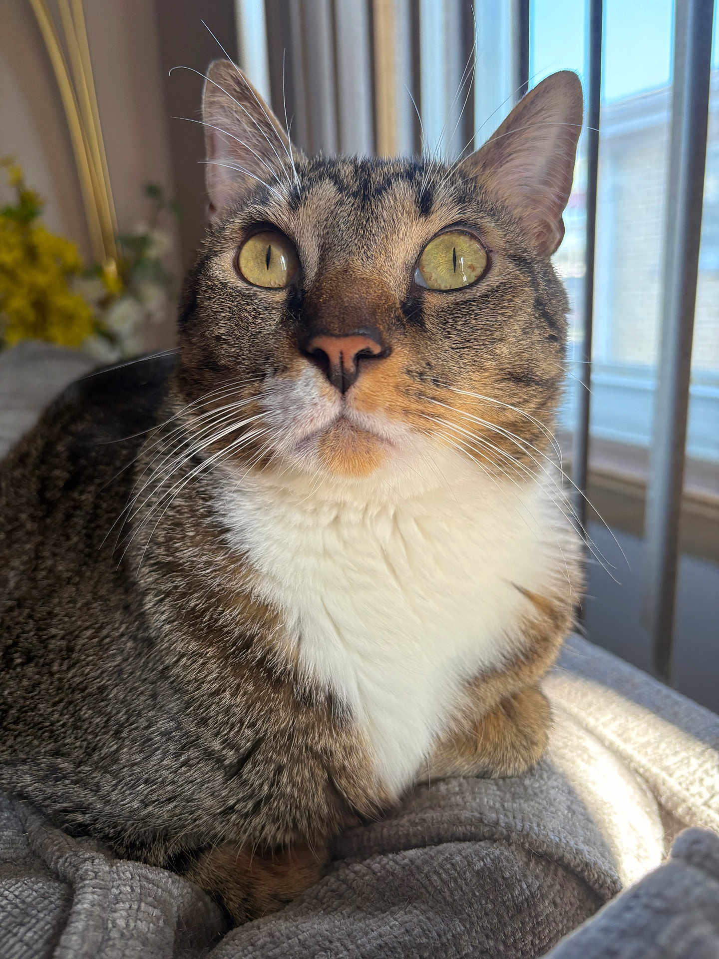 Milo