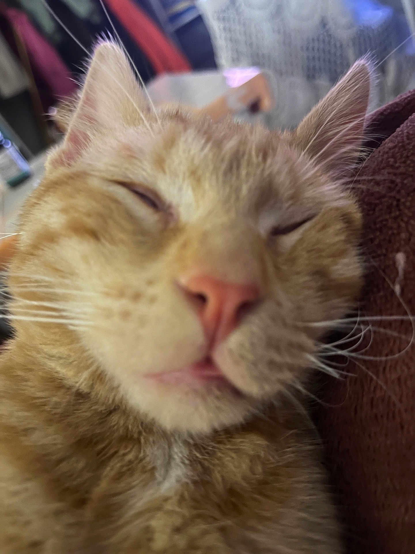 Toots