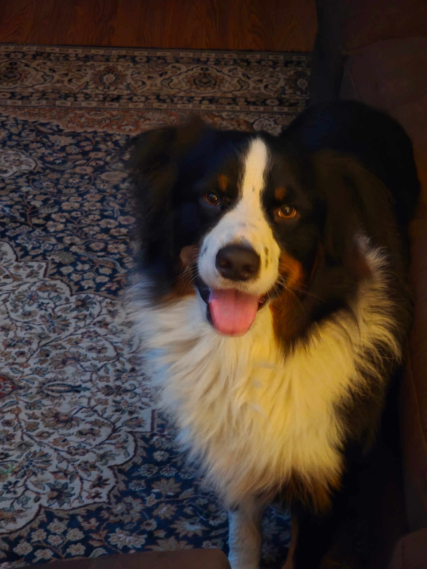 Tucker