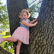 Sarah is registered to the contest to win money with this photo: child, toddler, tree, climbing, smiling, pink_tutu, denim_top, shoes, outdoor, nature, sunlight, grass, park, trunk, bark, greenery, happy, playful, young_child, daytime