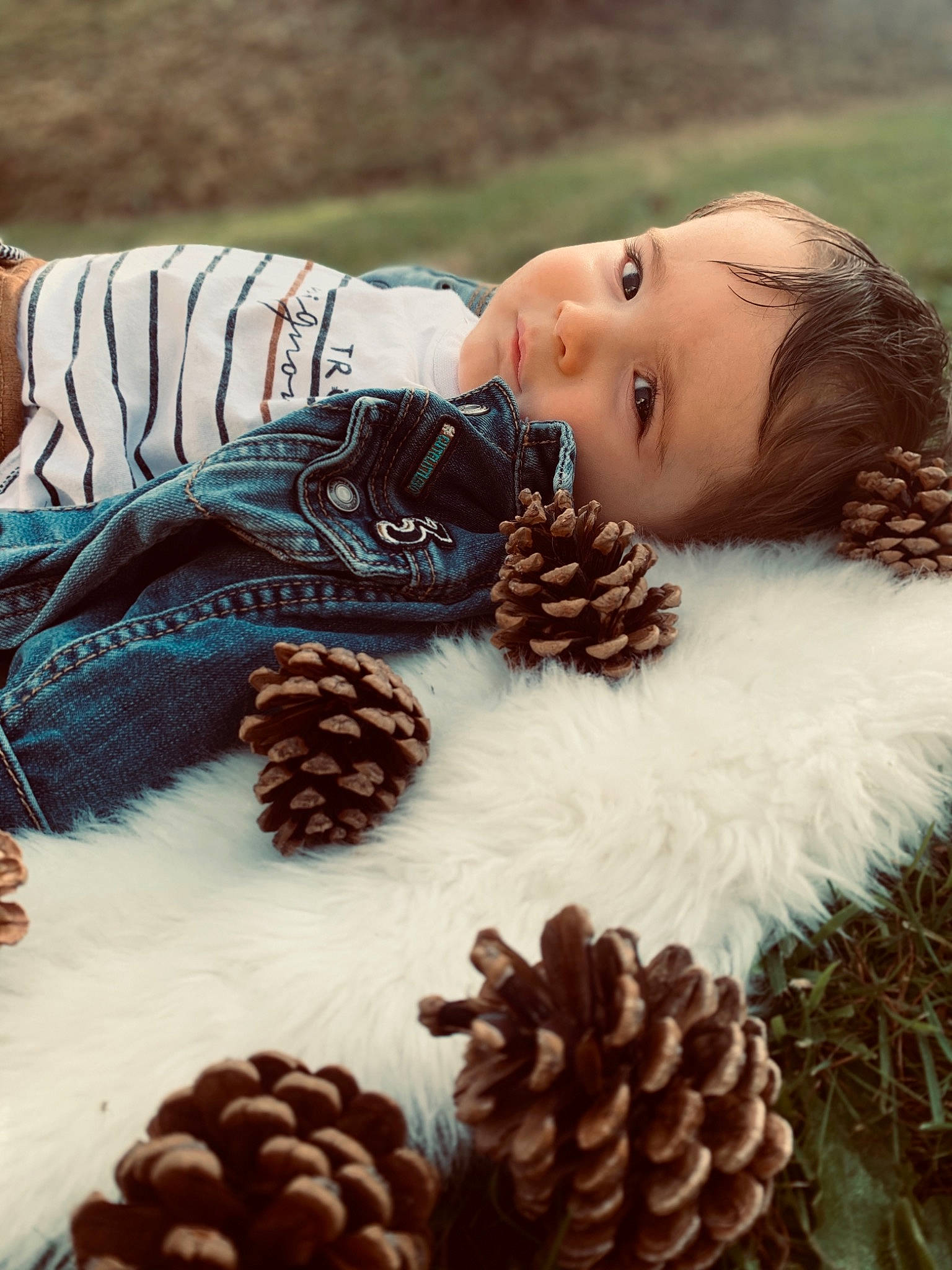 Noan a rejoint le concours — aidez-le/la à gagner de superbes lots ! baby, baby_toddler_clothing, brown, brown_hair, child, child_model, conifer, conifer_cone, fir, natural_material, people_in_nature, person, pine, pine_family, portrait_photography, sweater