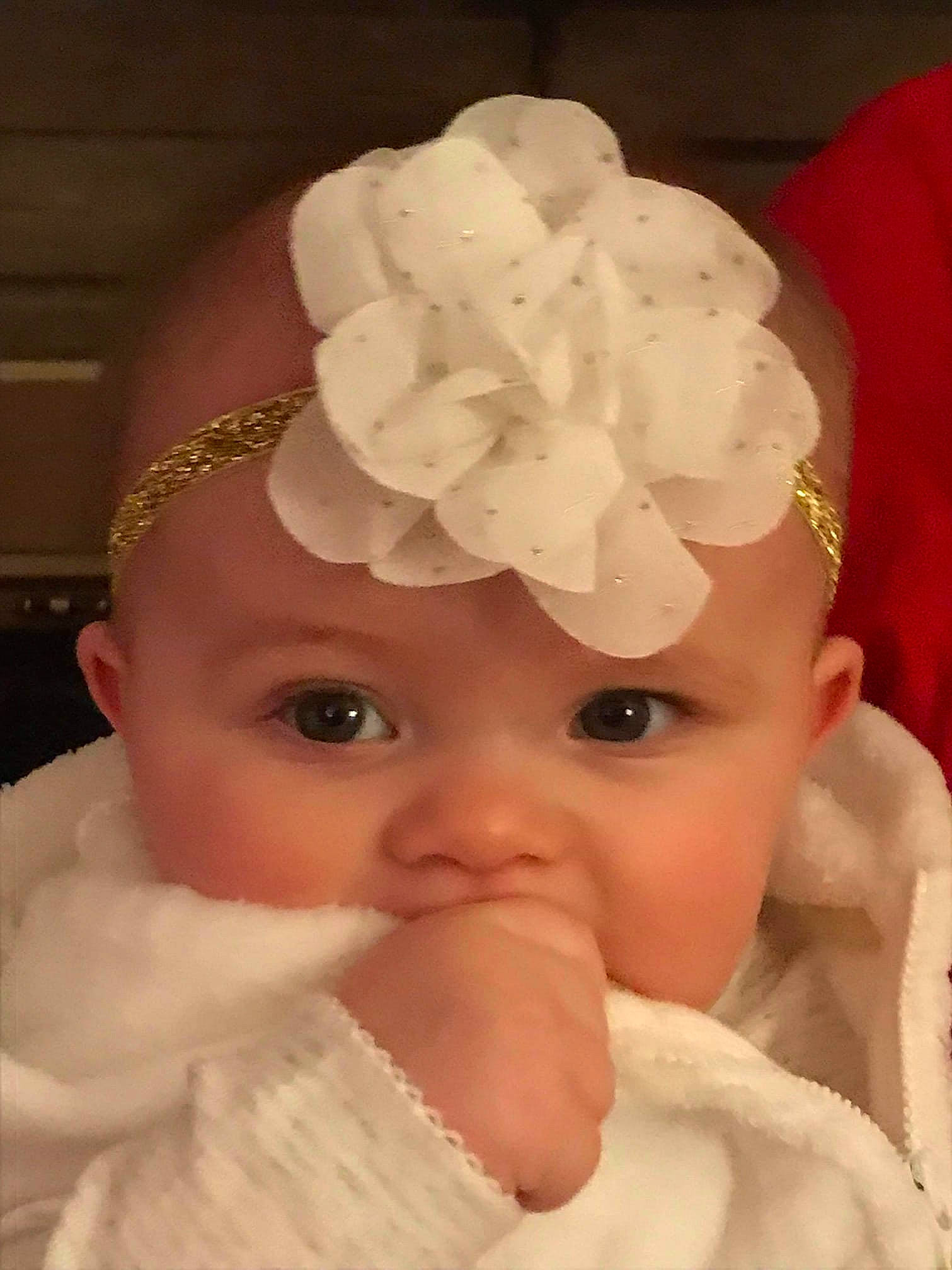 Nora joined the competition — help win amazing prizes! baby, cheek, child, fashion_accessory, forehead, hair_accessory, head, headband, headgear, headpiece, nose, person, toddler