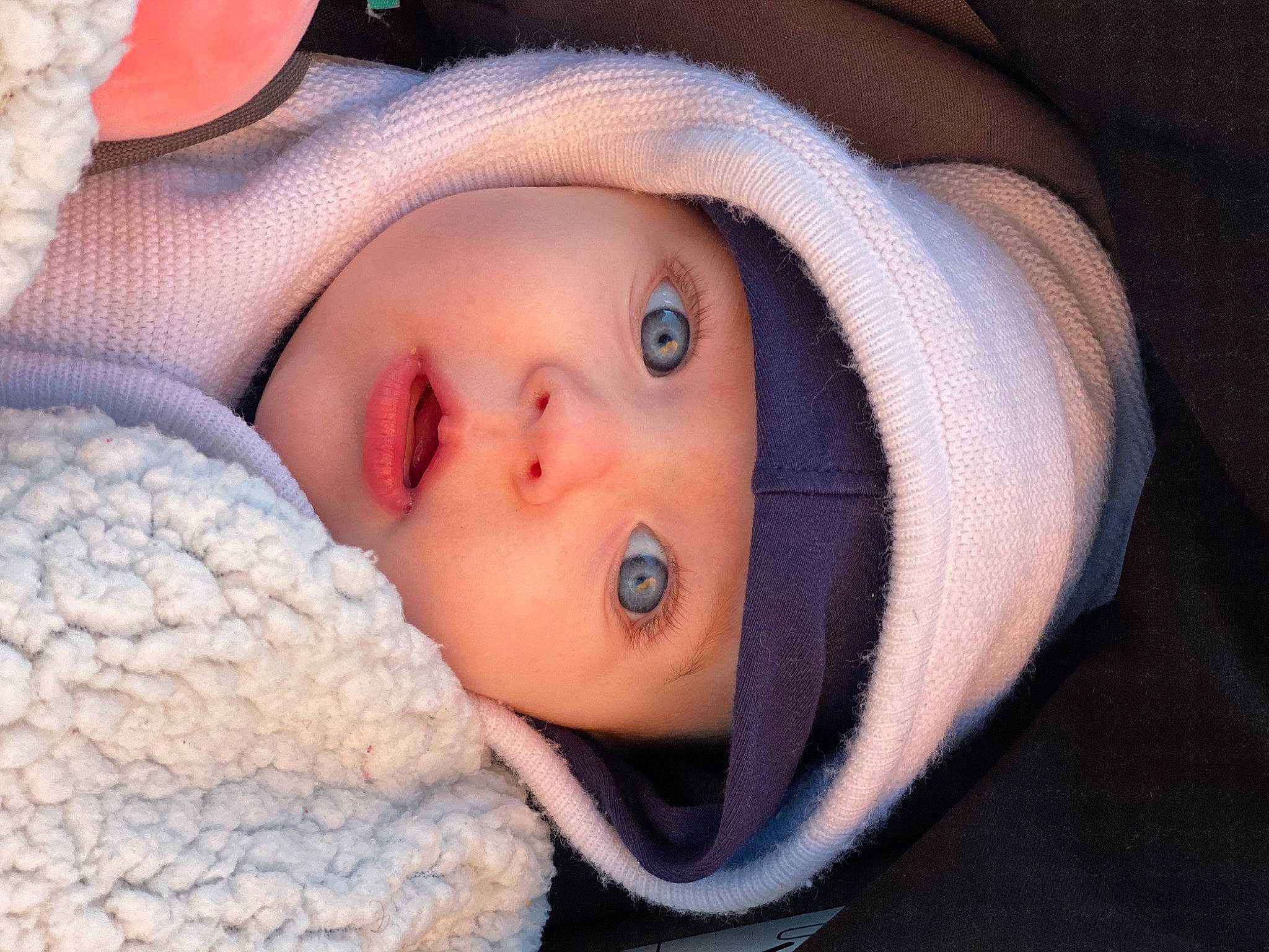 Mae a rejoint le concours — aidez-le/la à gagner de superbes lots ! baby, cheek, child, chin, close_up, comfort, eye, eyebrow, eyelash, flash_photography, headgear, headwear, human_body, iris, knit_cap, lip, mouth, nose, person, skin