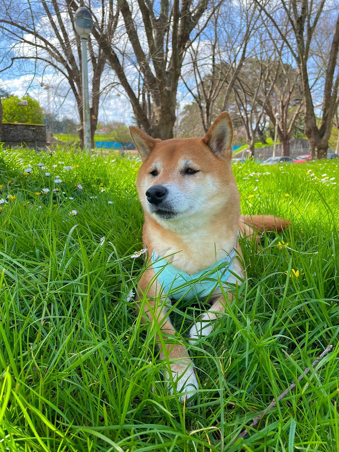 Naïko