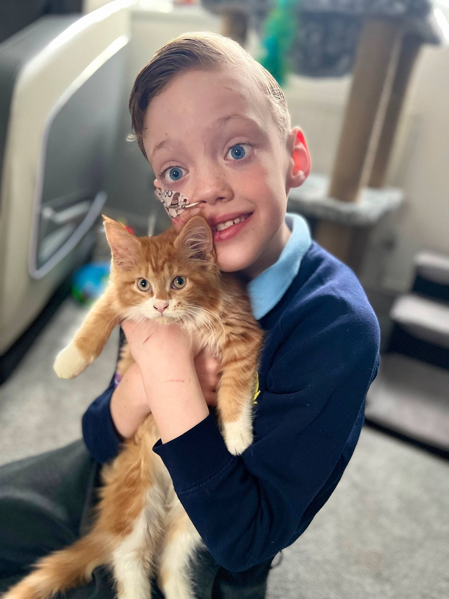 Buttons joined the competition — help win amazing prizes! carnivore, cat, clothing, fawn, felidae, finger, fur, gesture, hair, hand, happy, iris, mammal, sitting, skin, small_to_medium_sized_cats, smile, toddler, vertebrate, whiskers