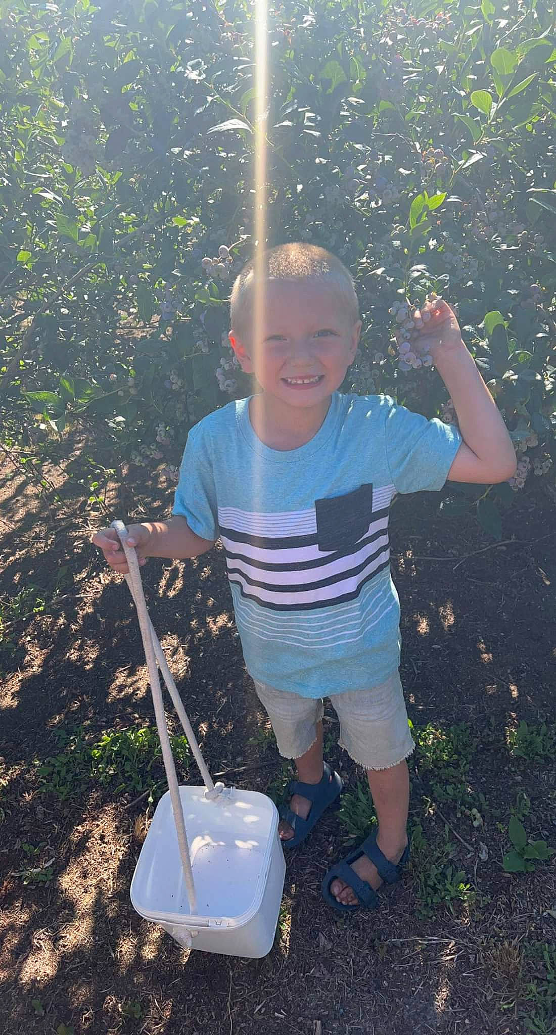 Bentley joined the competition — help win amazing prizes! child, electric_blue, fun, garden, garden_tool, gardening, gesture, grass, happy, joy, leaf, people_in_nature, person, plant, play, shorts, smile, soil, t_shirt, tints_and_shades