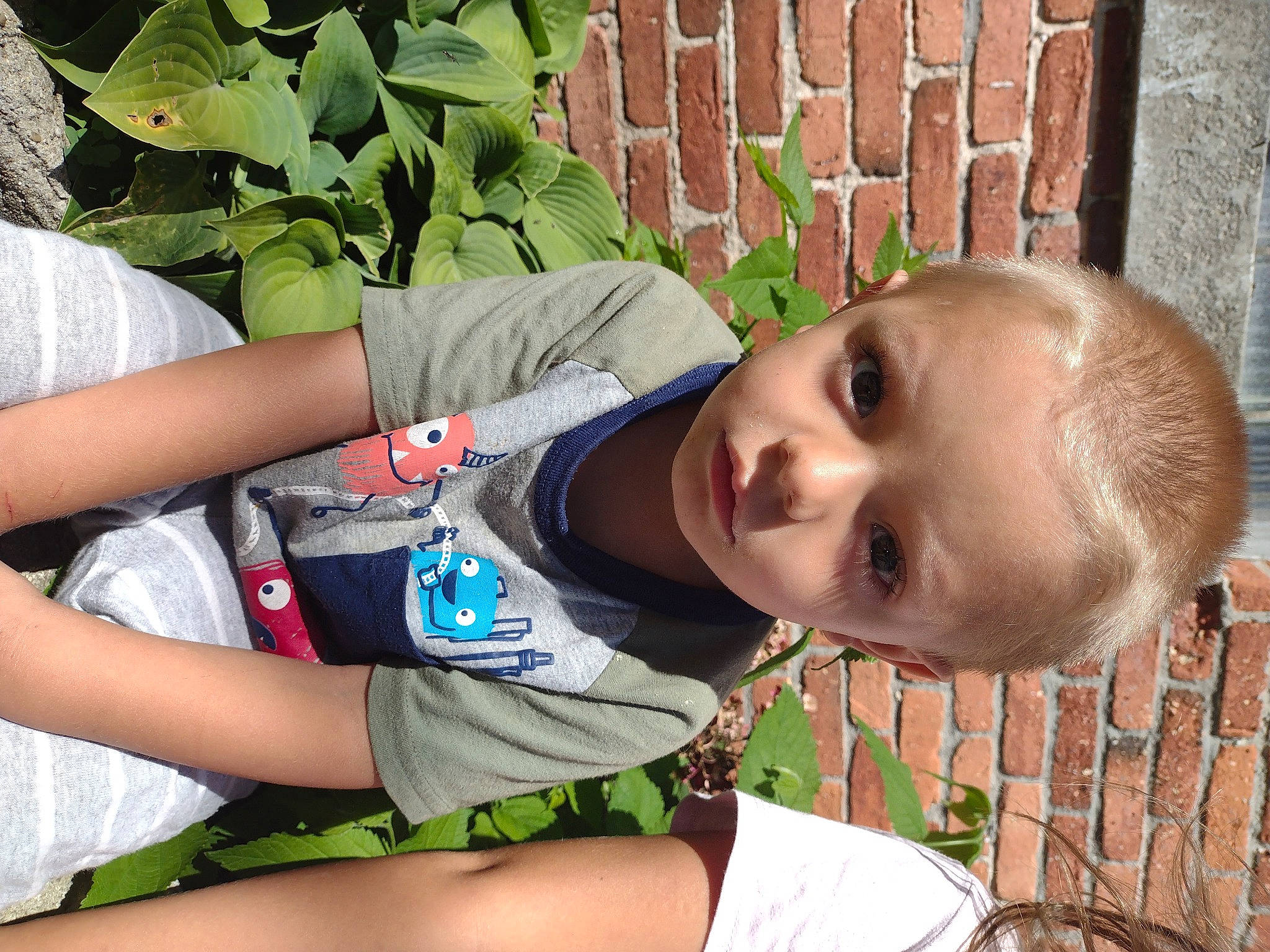 Jaxxon is registered to the contest to win money with this photo: brickwork, child, cool, elbow, facial_expression, grass, hairstyle, happy, human_body, human_leg, knee, leisure, people_in_nature, person, plant, sitting, t_shirt, thigh, toddler, tree