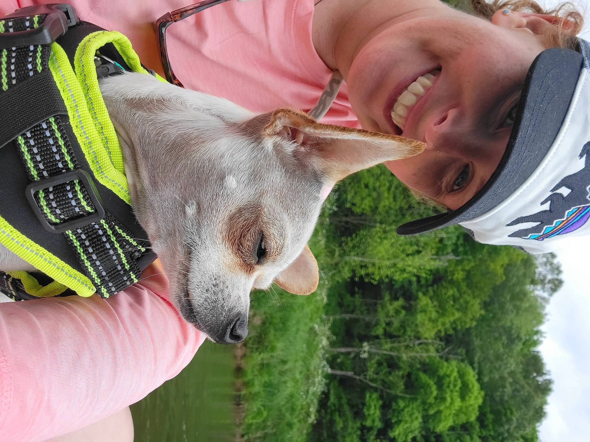 Juneau joined the competition — help win amazing prizes! canidae, carnivore, collar, dog, dog_breed, fawn, finger, gesture, grass, green, hand, happy, liver, plant, sky, smile, sporting_group, tree, working_animal, wrinkle