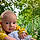 Xander