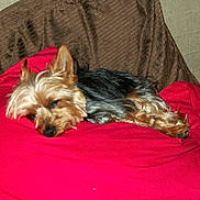 Jasper participe au concours pour gagner de l'argent avec cette photo :