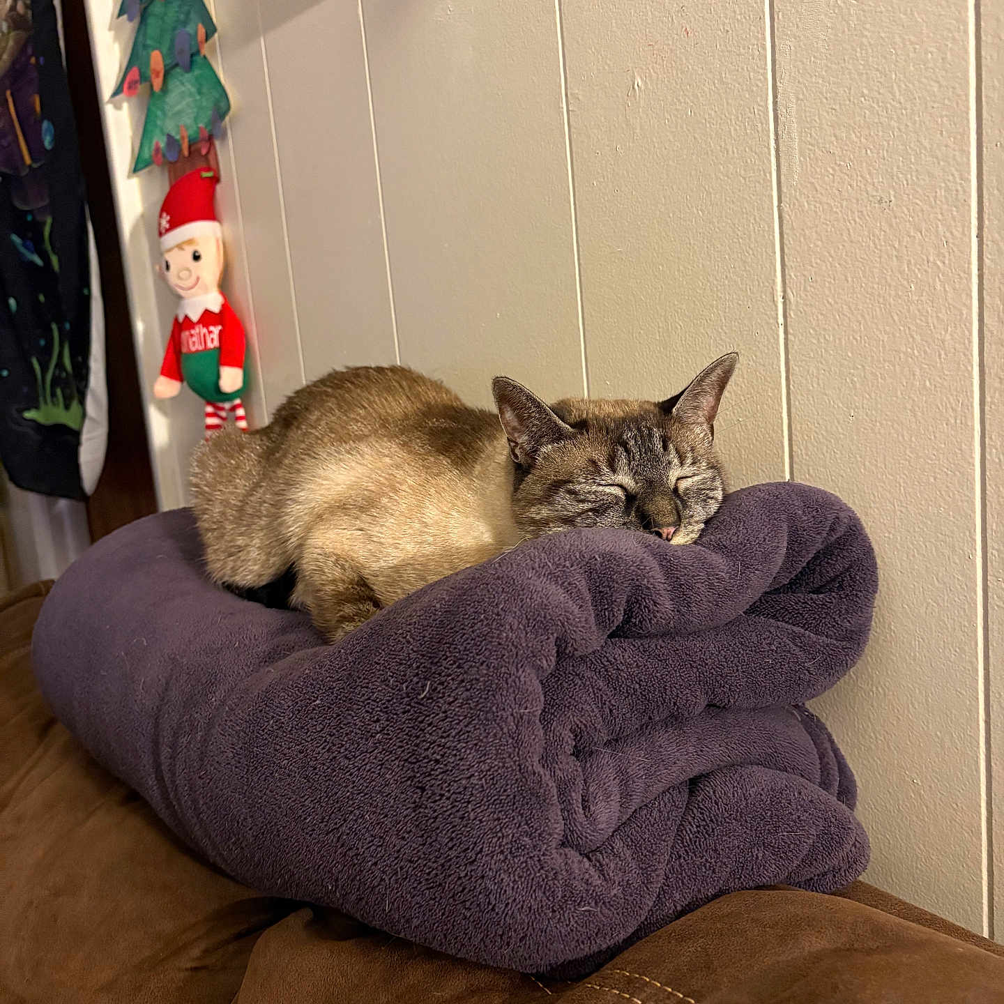 Frankie