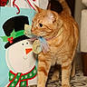 bow, carpet, cat, christmas, curious, ears, eyes, feline, gift_bag, holiday, indoor, orange_cat, paws, pet, portrait, ribbon, snowman, standing, tabby, whiskers
