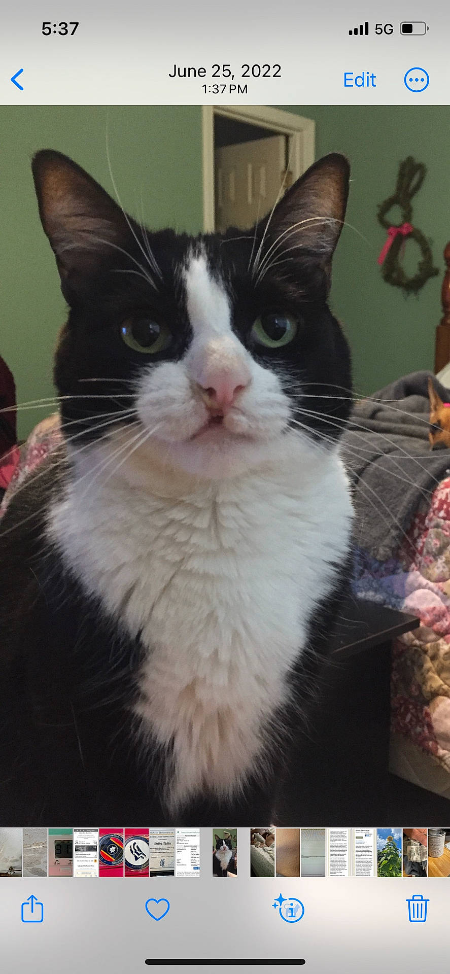 Millie