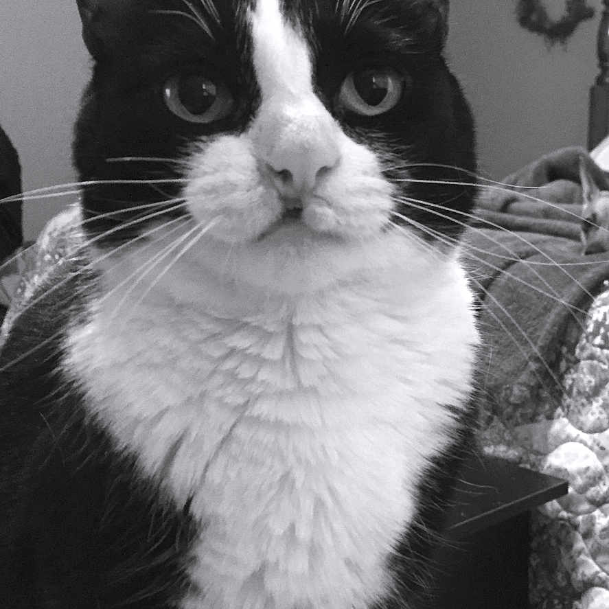 Millie